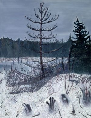 Winter in Nova Scotia